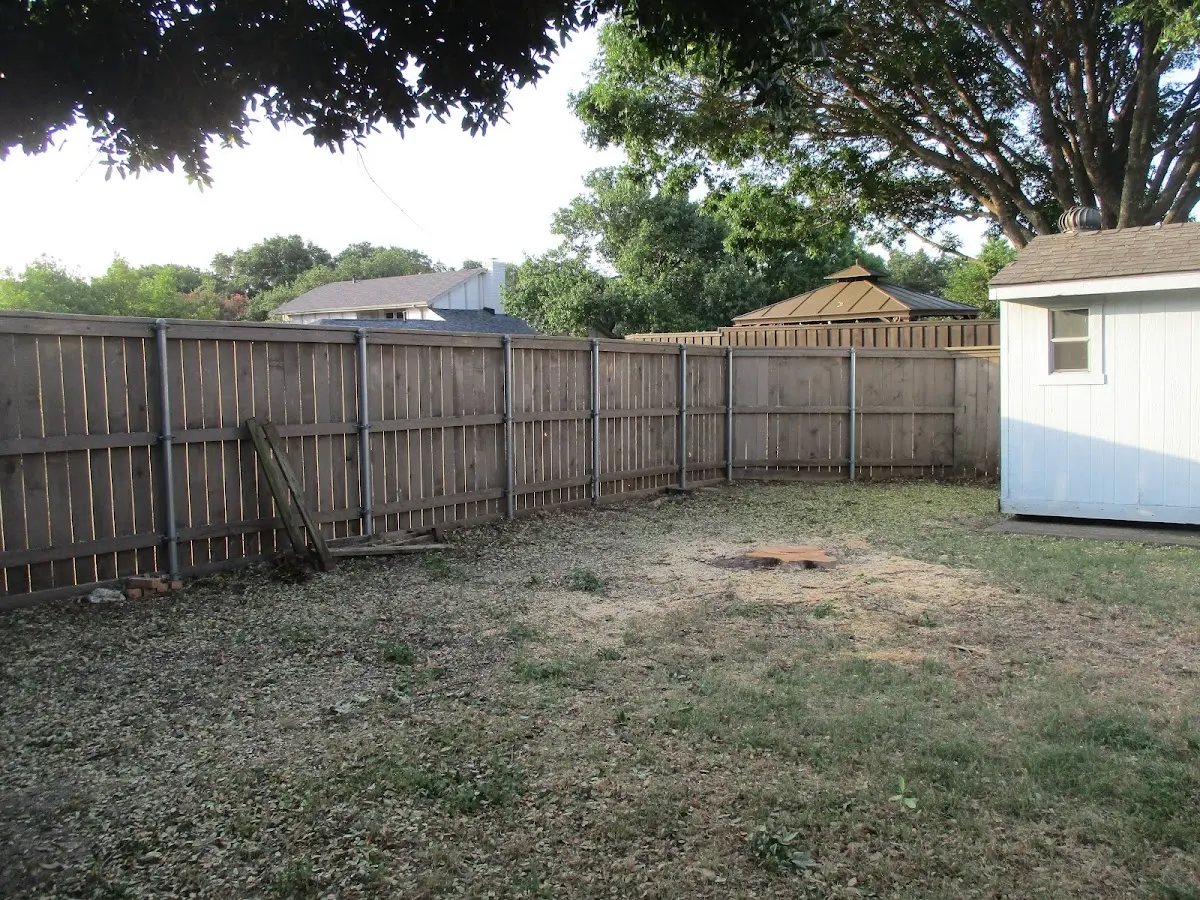 Cleared yard after professional tree removal in Lake Delton