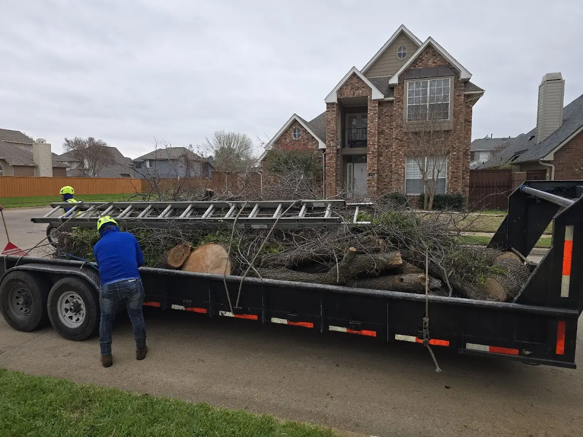 Expert Crown Reduction with proper safety equipment in Lake Delton